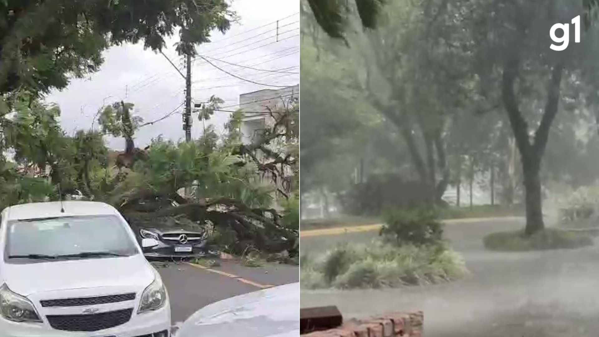 foto Not&iacute;cia Santa Maria